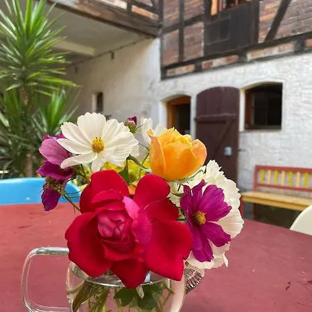 Ferienwohnung Mit Aussicht * Unterwellenborn